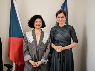 Постійна Представниця провела зустріч  з Уповноваженою з прав людини Уряду Чеської Республіки