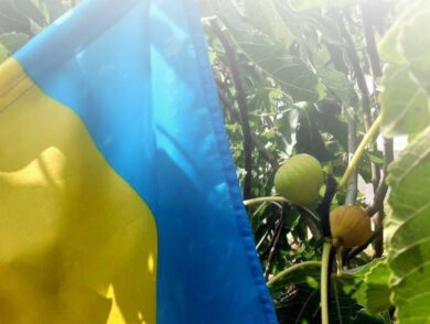 Спротив громадян України в окупованому Криму станом на 19.09.2024