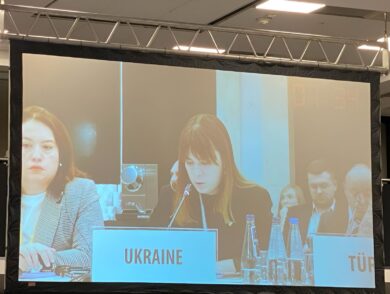 The Deputy Permanent Representative Participated in the OSCE International Human Dimension Conference