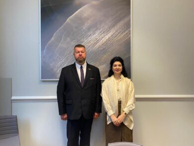 Working Meeting of the Permanent Representative with a Member of the Crimea Platform Support Group of the Saeima of Latvia