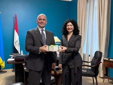 The Permanent Representative Met with the Newly Appointed Ambassador of Egypt to Ukraine, Barakat Elleity