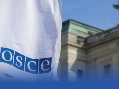 Лідери Парламентської асамблеї ОБСЄ підтвердили підтримку України в третю річницю повномасштабного вторгнення росії
