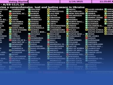 The UN General Assembly Adopts a Resolution in Support of Ukraine