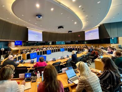 Постійна Представниця взяла участь у спеціальній сесії Підкомітету з прав людини Європейського парламенту