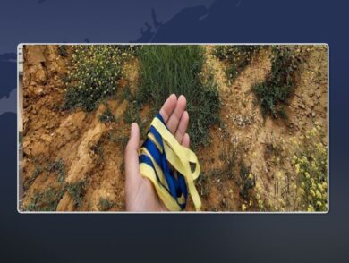 Спротив громадян України в окупованому Криму 26.06.2025