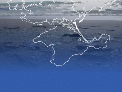 Marking World Environment Day: Environmental Threats under Russia’s Occupation of Crimea