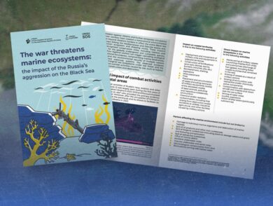 У співпраці із партнерами з експертного та громадського середовищ Представництво розробило довідку про вплив російської агресії на акваторію Чорного моря